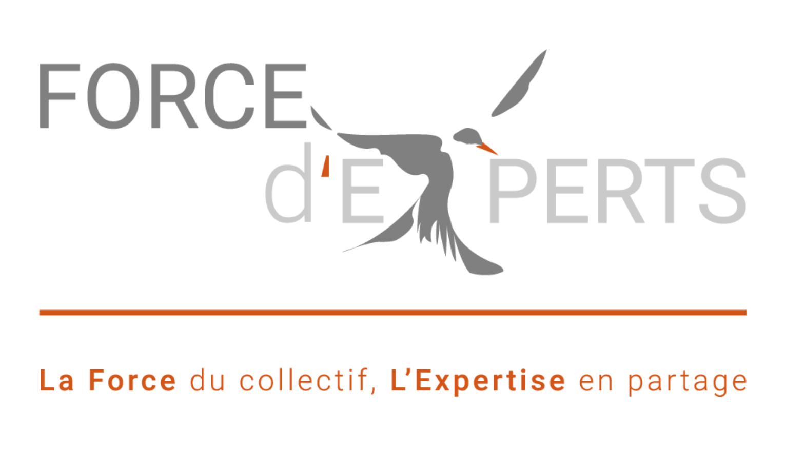 Logo Force d'Experts, partenaire de MyUnisoft